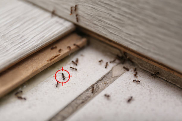 Warsaw, NC Pest Control Company