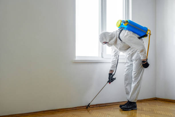 Best Bed Bug Extermination  in Warsaw, NC
