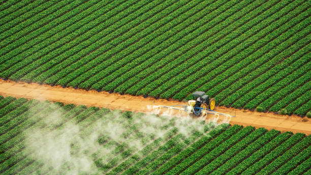 Best Local Pest Control Services  in Warsaw, NC