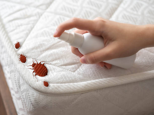 Best Exterminator Services  in Warsaw, NC