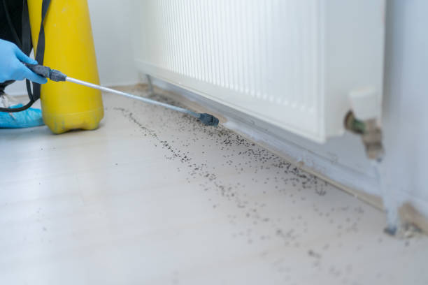 Best Pest Inspection Near Me  in Warsaw, NC